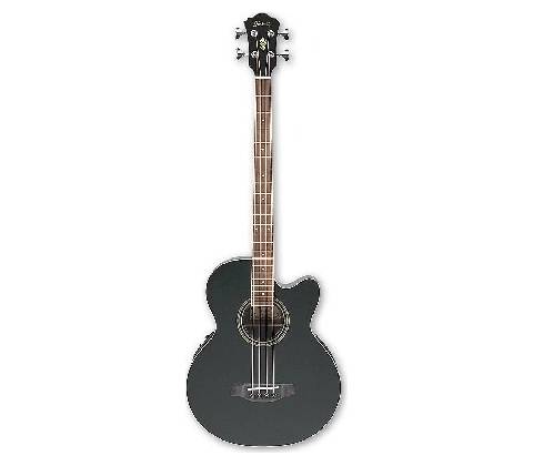 Ibanez AEB 8E