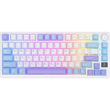 Royal Kludge RK-M75-TAROMLK-KSLVSW-US