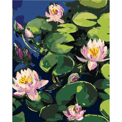 zuty Malování Podle Čísel Lekníny V Zahradním Jezeře 40 x 50 Cm Plátno