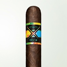 CAO BX3 Toro 20 ks