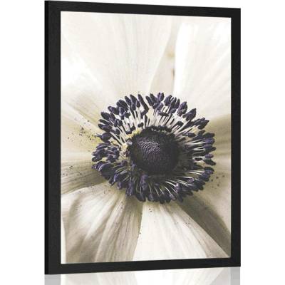 Plakát rozkvetlý květ - 40x60 silver
