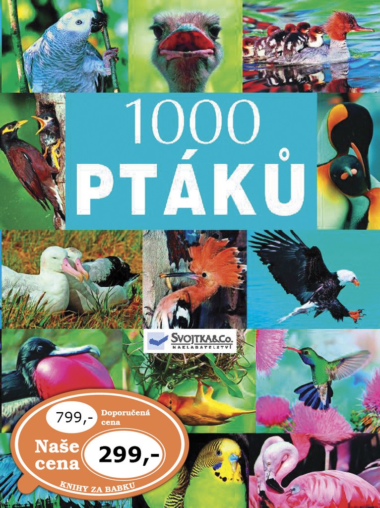 1000 ptáků -