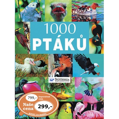 1000 ptáků -