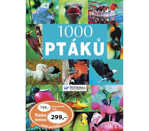 1000 ptáků -