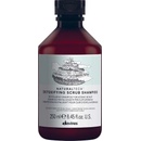 Davines NATURALTECH Detoxifying šampon pro hloubkové čištění atonické pokožky 250 ml