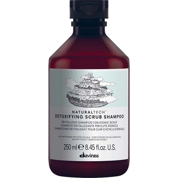 Davines NATURALTECH Detoxifying šampon pro hloubkové čištění atonické pokožky 250 ml