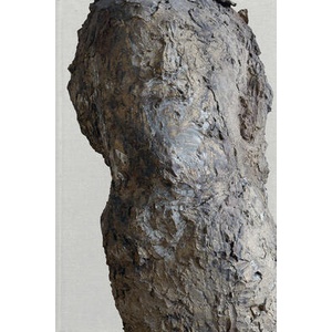Hans Josephsohn | CORNELIUS TITTEL (ISBN: 9788857252704)