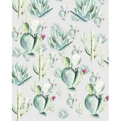 Komar Vliesová fototapeta Cactus Grey rozměry 200 x 250 cm