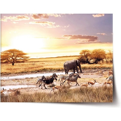 Sablio Plagát Safari - 60x40 cm
