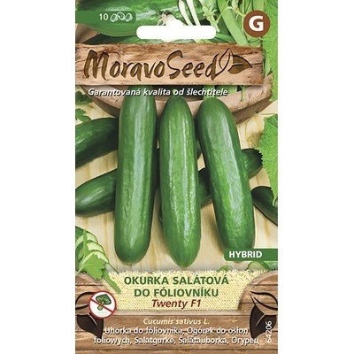 Uhorka šalátová do fóliovníka TWENTY F1 MoravoSeed