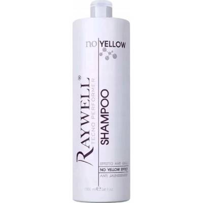 Raywell Šampon ochrana barvy 1000 ml