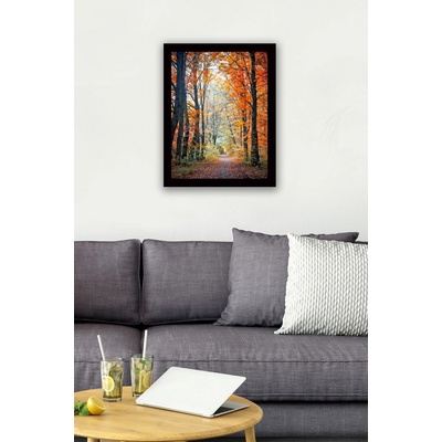 ASIR Obraz na MDF s rámem CESTA PODZIMNÍM LESEM 56 x 41 cm