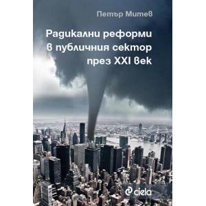 Радикални реформи в публичния сектор през XXI век (ISBN: 9789542816386)