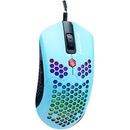 Image 1 of Dragon War Phoenix Honeycomb (ELE-G25-BL)