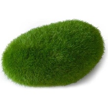 Europet Bernina Aqua Della Moss Ball medium 10x6,5x5 cm