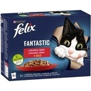 Krmivo pro kočky Felix Fantastic s kuřetem hovězím králíkem a jehněčím v želé 12 x 85 g