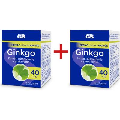 GS Ginkgo 40 mg 2× 120 tabliet