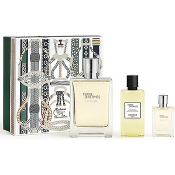Hermès Terre d`Hermes Eau Givree Подаръчен комплект за мъже Размер EDP 100 ml + EDP 12.5 ml + душ гел 80 ml