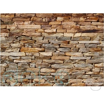 Фототапет Каменна стена - 360x254см (15102-1319)