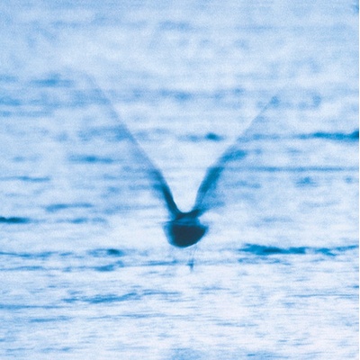 Mellow Dream - Ryo Fukui LP