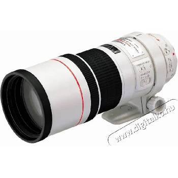 Canon EF 300mm f/4L IS USM (2530A017AA)