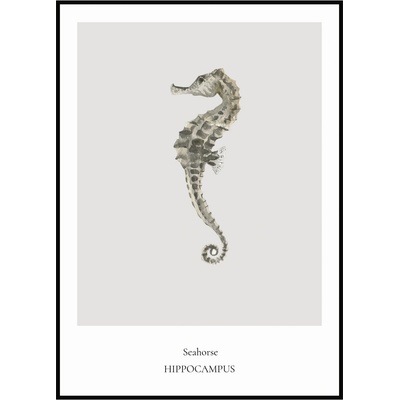Jen tak z lásky Plakát Seahorse Rozměr plakátu: 30 x 40 cm