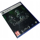 Chernobylite