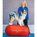 FitPAWS Balanční plošina pro domácí mazlíčky Trax Peanut 50 cm