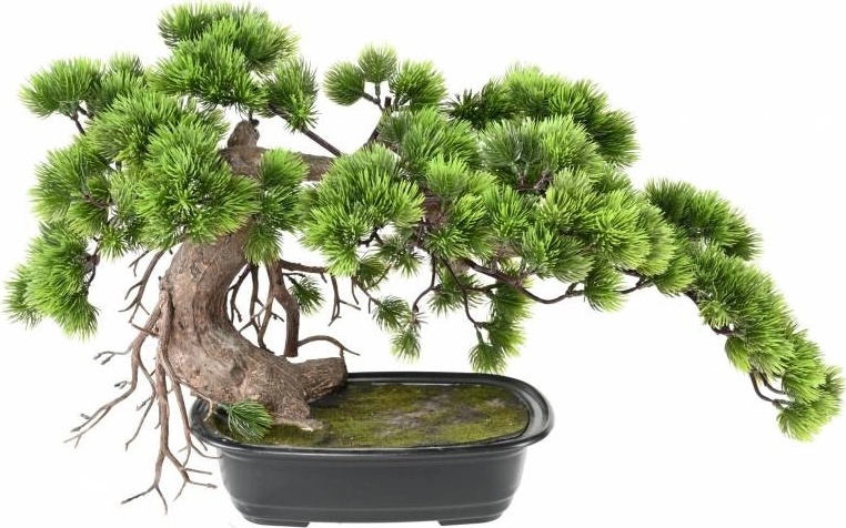 Umel Bonsai borovica v kvetini, 37cm od 73,8  - Heureka.sk