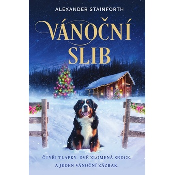 Vánoční slib