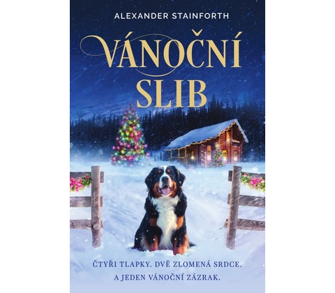 Vánoční slib