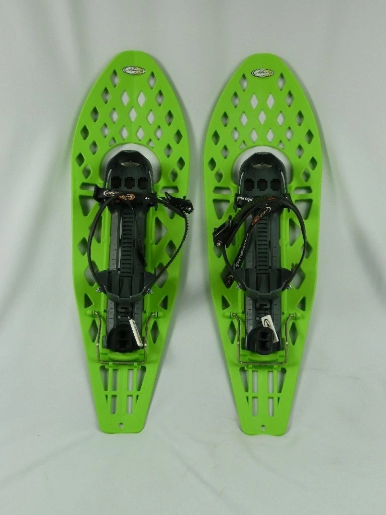 Haven Morpho bigfoot