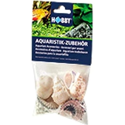 Hobby Sea Shells Set L 5 ks