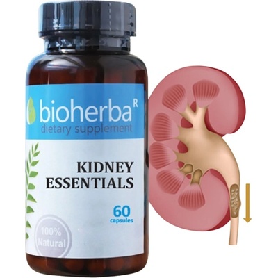 Bioherba Kidney Essentials [60 капсули]