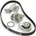 GATES KP15606XS