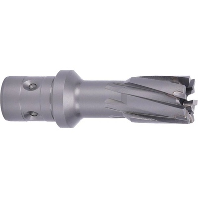 !!!! ABSE N-CA-F18-0190050