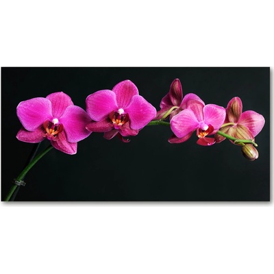 Fotoobraz na skle orchidea 100x50 cm