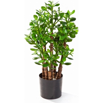 Umelý Crassulata ovata, 60cm
