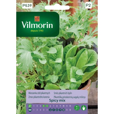 PIKANTNÉ KORENIE zmes Vilmorin