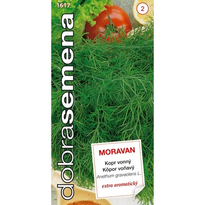 Dobré semená Kôpor vonný Moravan 3 g