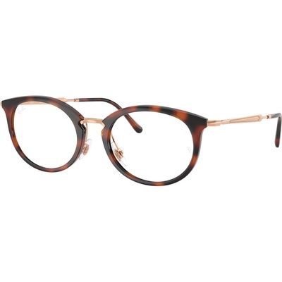 Ray-Ban RX7255 5687
