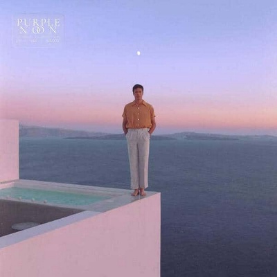 Washed Out: Purple Noon - Coloured Purple Vinyl LP