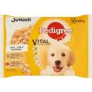 Pedigree Junior kura ryža hovädzina ryža v želé 4 x 100 g