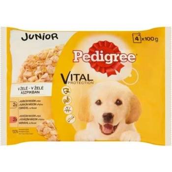 Pedigree Junior kura ryža hovädzina ryža v želé 4 x 100 g