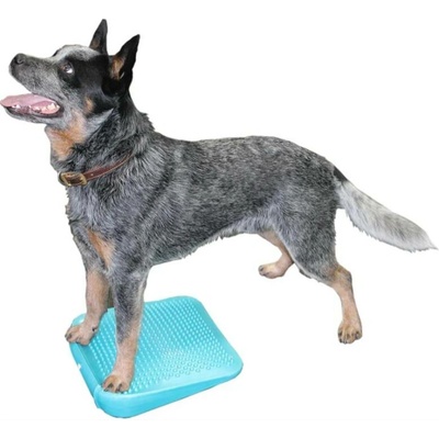 FitPaws rampa AQUA