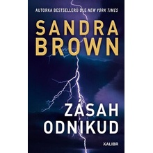 Zásah odnikud - Sandra Brown