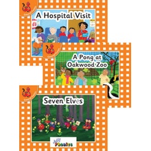 Jolly Phonics Orange Level Readers Set 5