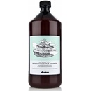 Davines NATURALTECH Detoxifying šampon pro hloubkové čištění atonické pokožky 1000 ml
