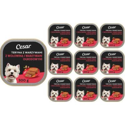 Cesar s hovězím masem a zeleninou 10 x 300 g