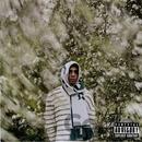 BLAKO - BLOOM CD